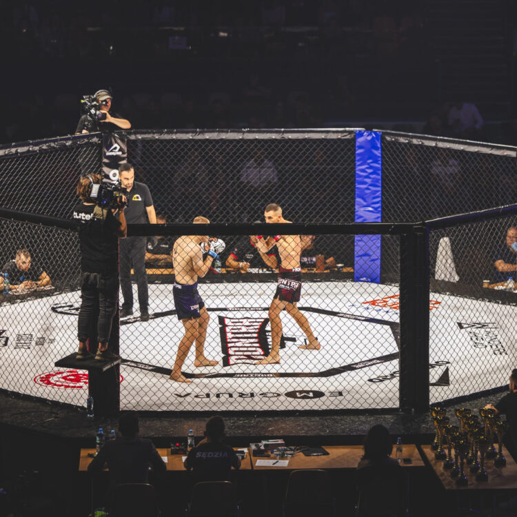 Zawodnicy MMA w oktagonie podczas walki transmitowanej na żywo